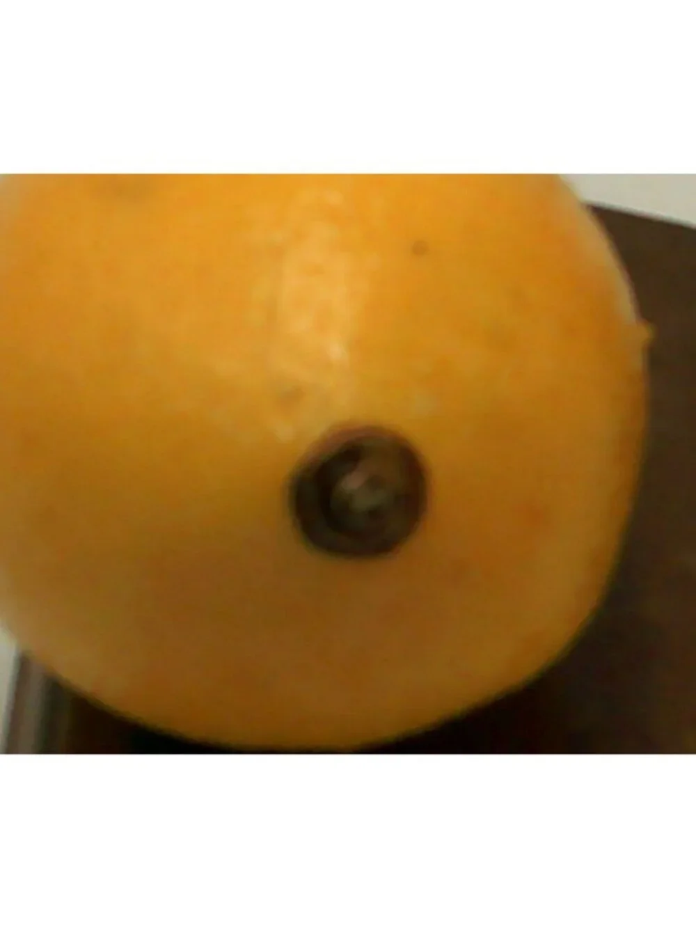 Artificial Lemon Plastic Fruit
